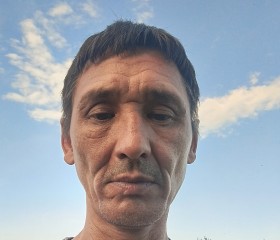 Толя, 53 года, Москва