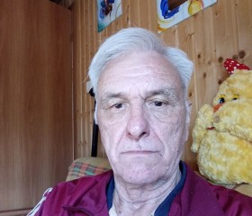 Eugene, 65 лет, Нижний Новгород