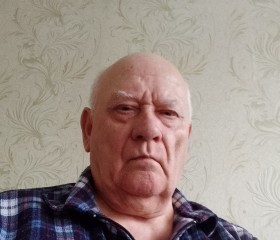 Владимир, 62 года, Москва