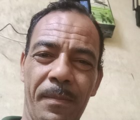 مصطفي, 43, Cairo