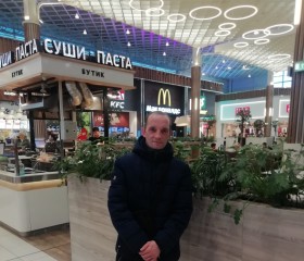 Дмитрий, 44 года, Верхняя Пышма