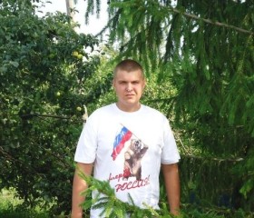 Анатолий, 31 год, Кораблино