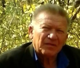 Гоша, 71 год, Тольятти