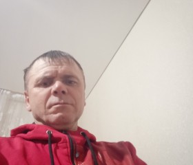 Сергей Сарафанов, 46 лет, Новоселитское