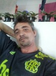 Alex, 43 года, Guaratuba