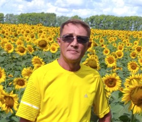 Виктор Иманов, 53 года, Чайковский