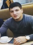 Артур, 27 лет, Тольятти