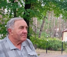Владимир, 70 лет, Новопсков