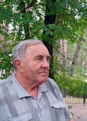 Владимир, 70, Україна, Новопсков