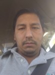 José Luis Villan, 37 лет, Saltillo