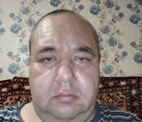 Николай, 45 лет, Козельск