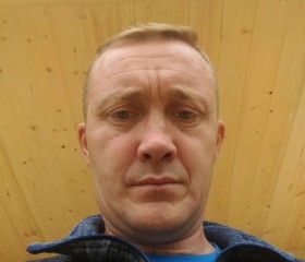 Роман, 44 года, Ярославль