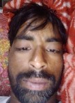 Rahul, 29 лет, Ellenabad