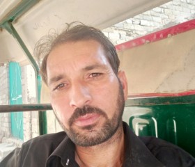 sajid Ali, 32 года, مردان