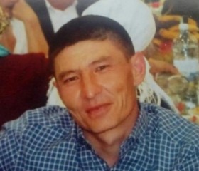 Ербол, 42 года, Алматы