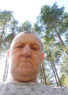 Николай, 64, Россия, Вельск