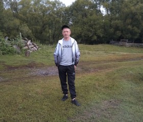 Антон, 38 лет, Саратов