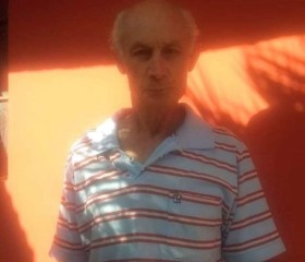 Luiz, 79 лет, Curitiba