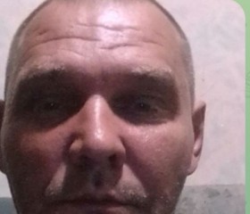 Фил, 45 лет, Киров (Кировская обл.)