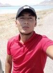 Амир, 27 лет, Бишкек