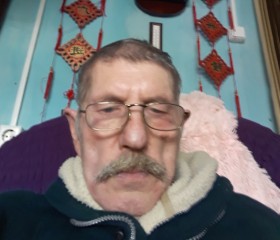 Виктор Зяблицкий, 68 лет, Абакан