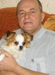 Владимир, 65 лет, Псков