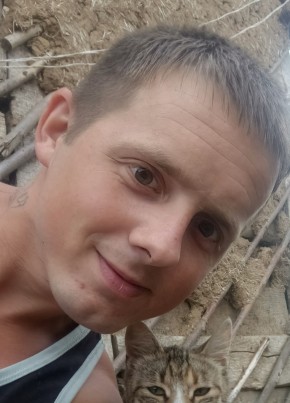 Дмитрий из Подольска 29 лет