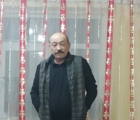 Абдурашид, 66 лет, Ақсу (Оңтүстік Қазақстан обл.)