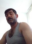 Bozkurt, 45 лет, Amsterdam