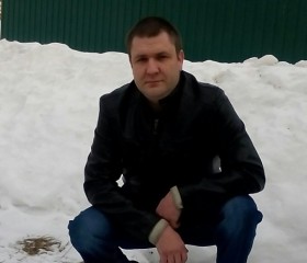Алексей, 43 года, Инза