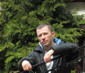 Денис, 51 год, Калининград
