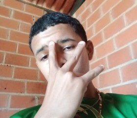 El loco, 18, Valencia