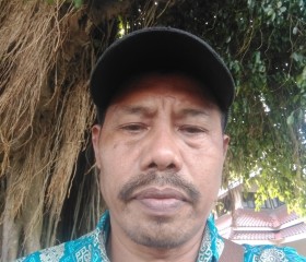 Mudianto, 55 лет, Wangon