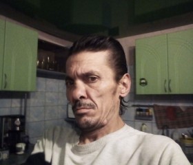 Владимир, 48 лет, Бийск