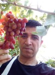 Ferhat, 39 лет, Esenler