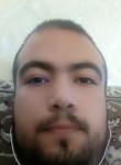 Mohammad, 25 лет, تِهران