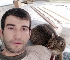 Zafarchik, 28, Shchelkovo
