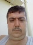 Bülent, 43 года, Milas