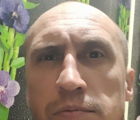 Михаил, 41 год, Прокопьевск