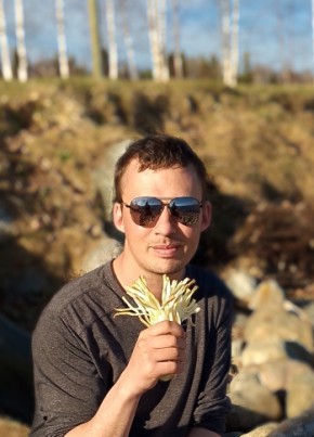 Денис, 33, Россия, Костомукша
