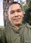 Nady, 43 года, Tangerang Selatan