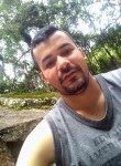 Carlos, 35 лет, Ponta Grossa