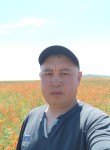 Мирбек, 48 лет, Мирный (Якутия)