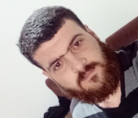 صقر سوريا, 29 лет, شعبية سرت