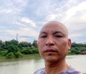 Hong, 40 лет, Hà Nội