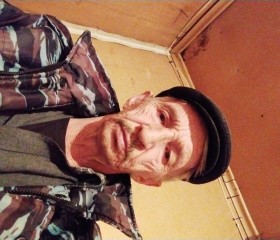 Павел Бушманов, 63 года, Вологда