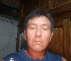 Ramon mendoza, 52 года, Panixtlahuaca