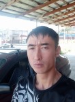 Berik, 34 года, Алматы