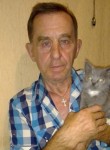 Владимир, 67 лет, Лисичанськ