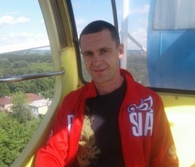 Василий, 41 год, Владимир